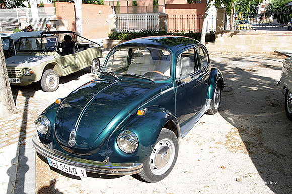 VIIConcentracionUtiel060