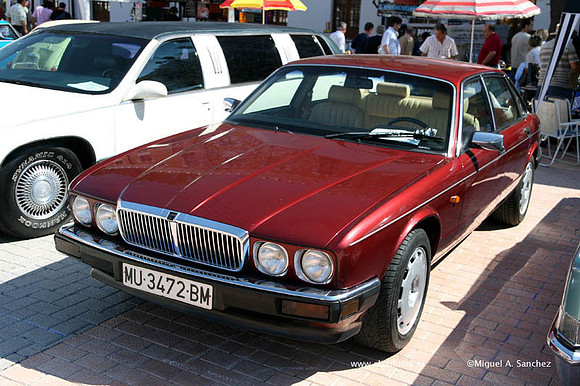 VIAutoRetroMurcia067