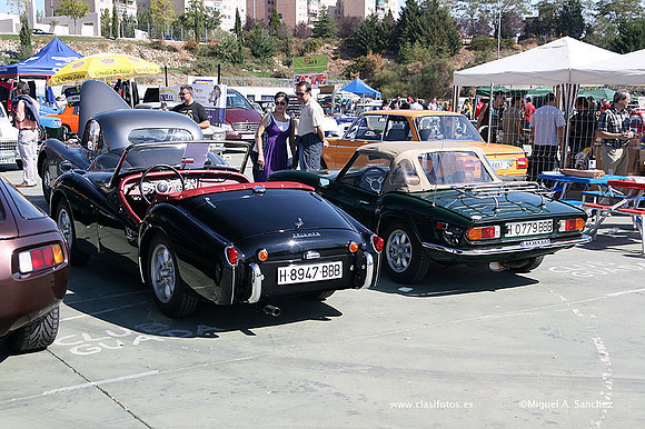 FVCP2009289