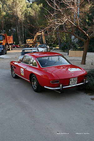 XRallyeEnero464