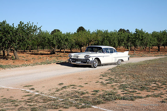 IIIEncuentroAmigosDelMotor053