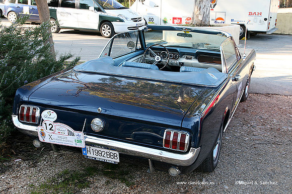 XRallyeEnero453