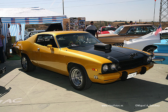 FVCP2009319