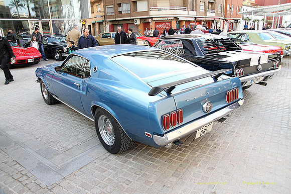 XConcentracionTorrente156
