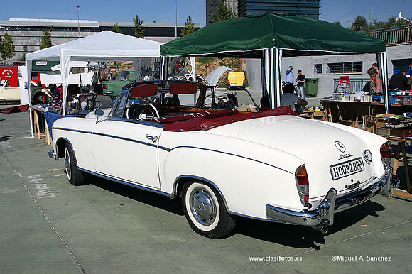 FVCP2009055