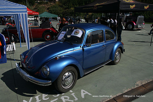 FVCP2009193