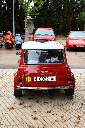 VIIIConcentracionUtiel080