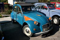 Rotova2009018