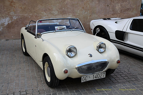 XConcentracionTorrente065