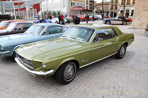 XConcentracionTorrente031