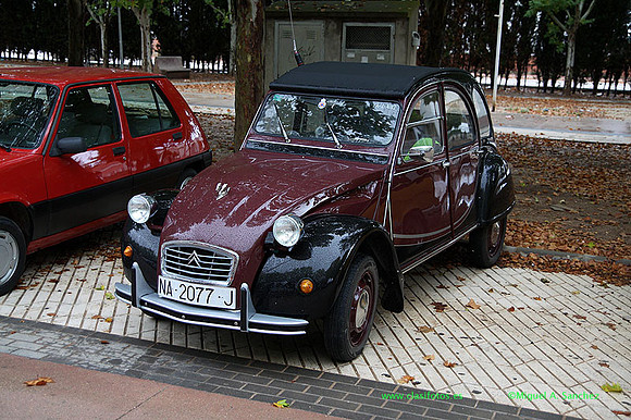 VIIIConcentracionUtiel003