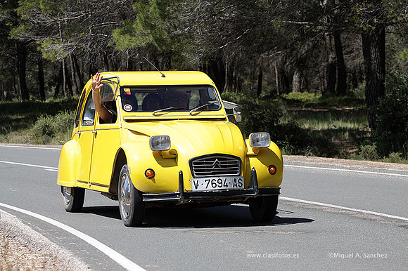 VIIConcentracionUtiel238