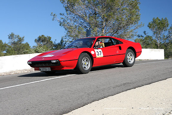 XRallyeEnero415