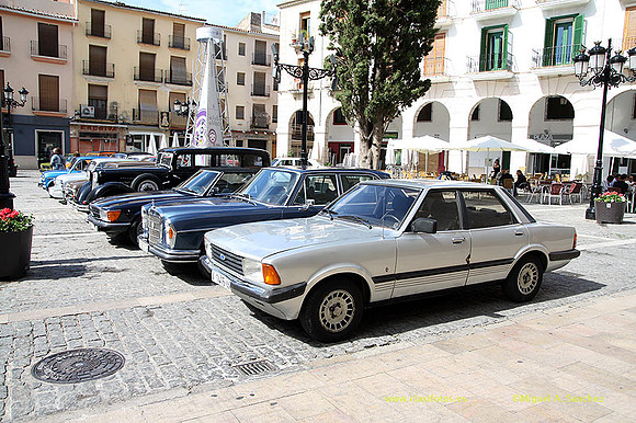 VIIConcGandia056