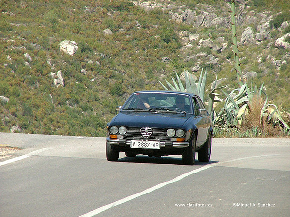 DSCF8683