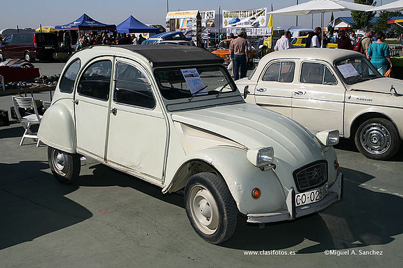 FVCP2009061