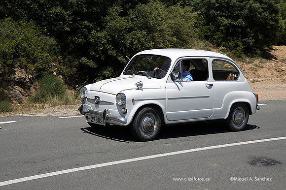 VIIConcentracionUtiel487
