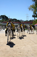 MuseoVivo2015016