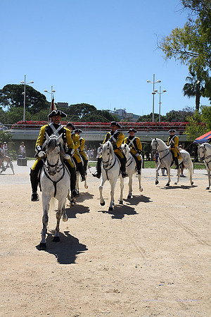 MuseoVivo2015016